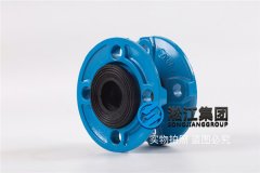 DN40球墨法兰船舶橡胶软接头