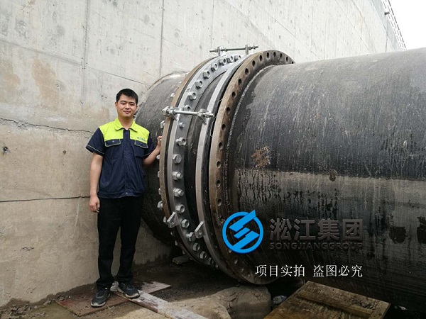上海市竹园污水处理厂橡胶接头安装使用现场